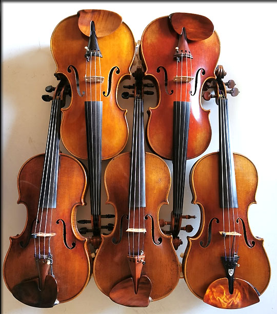 5 violons munis de connecteurs pour  micro Stat V sur mentonnières