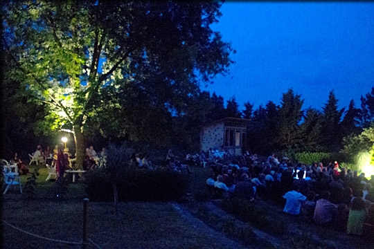 Public durant un Festival Jazzaparc organisé par violonis