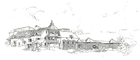 le centre violonis fin 1993