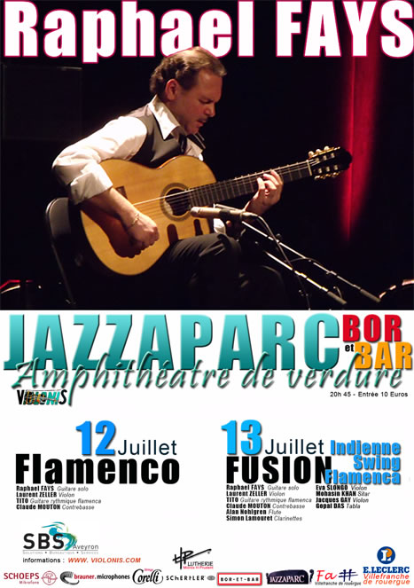 affiche A3 Raphael Fays  12  et 13 Juillet 2013