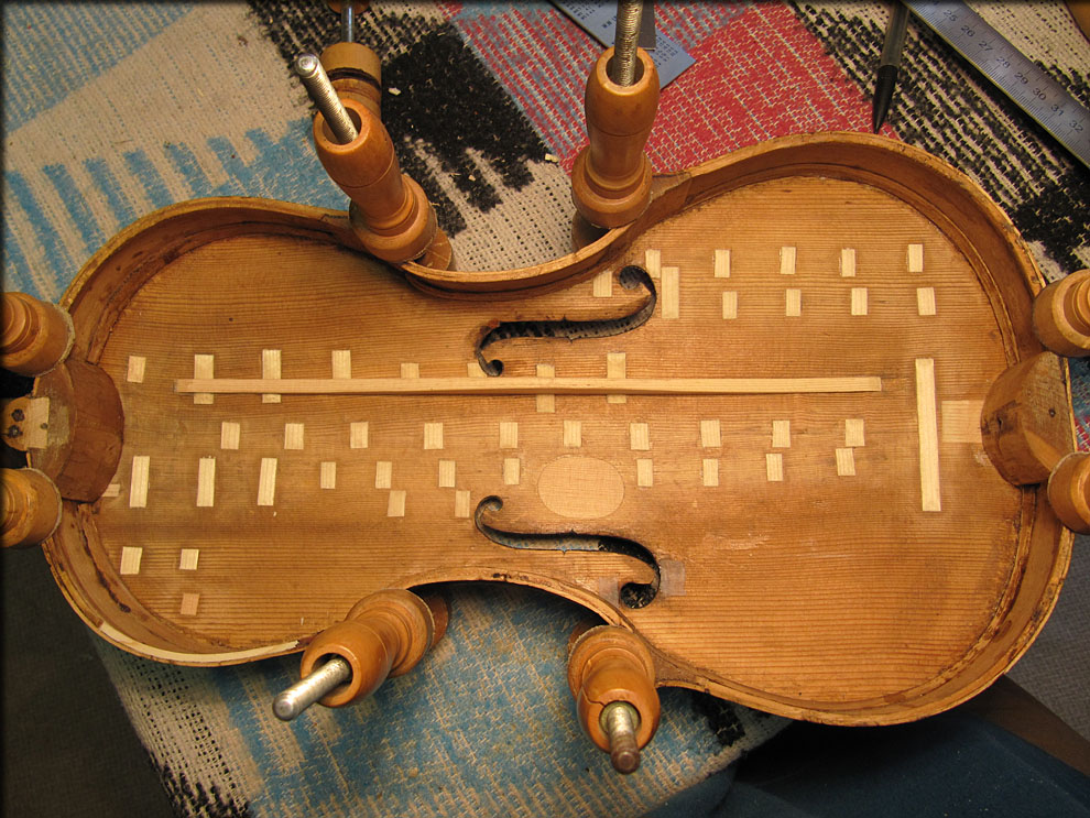 VIOLON CarloTESTORE 1740