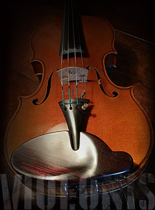 mentonniere et support de connecteurs pour micros