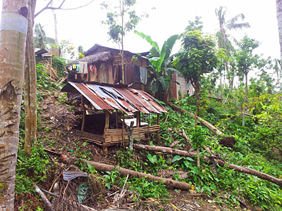 abris de fortune faits de vieilles toles rouillées